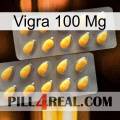 Vigra 100 Mg cialis2